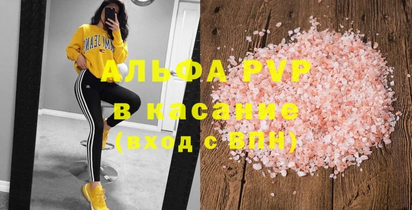прущие грибы Елабуга