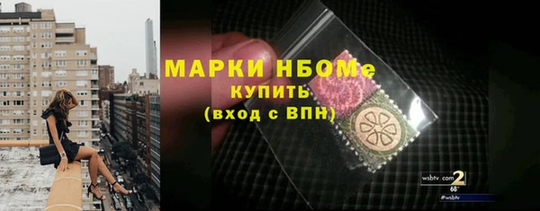 прущие грибы Елабуга