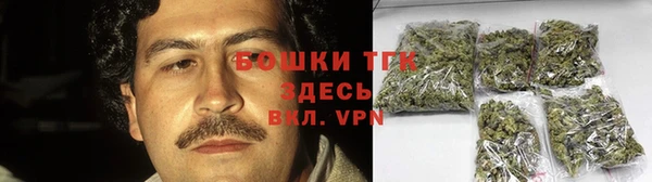 прущие грибы Елабуга
