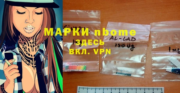 прущие грибы Елабуга