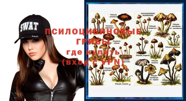 MDMA Заволжск