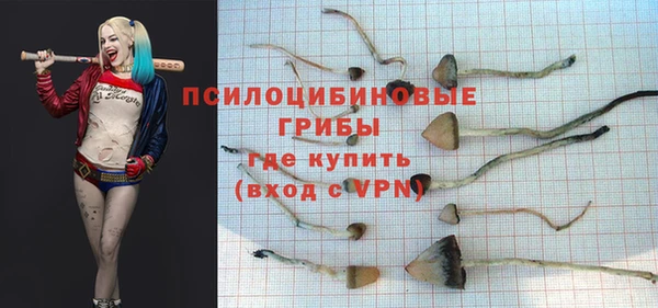 МДПВ Заводоуковск