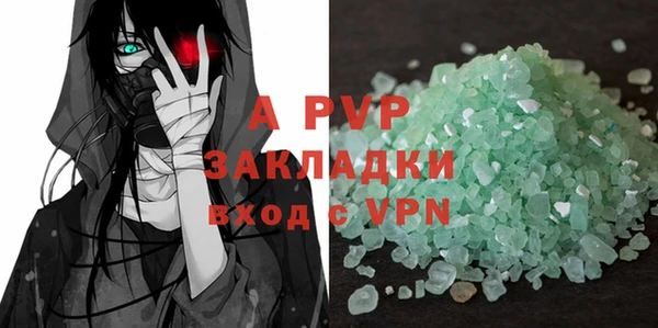 прущие грибы Гусь-Хрустальный