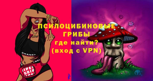 прущие грибы Елабуга